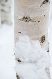 Close-up of snow