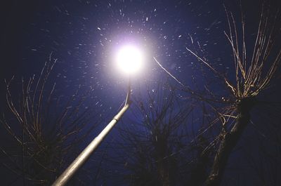 Low angle view of tree against sky at night