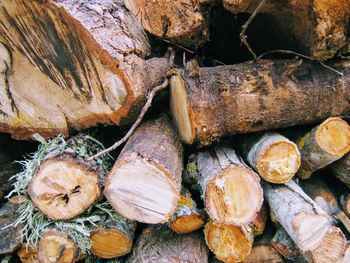 Full frame shot of firewood