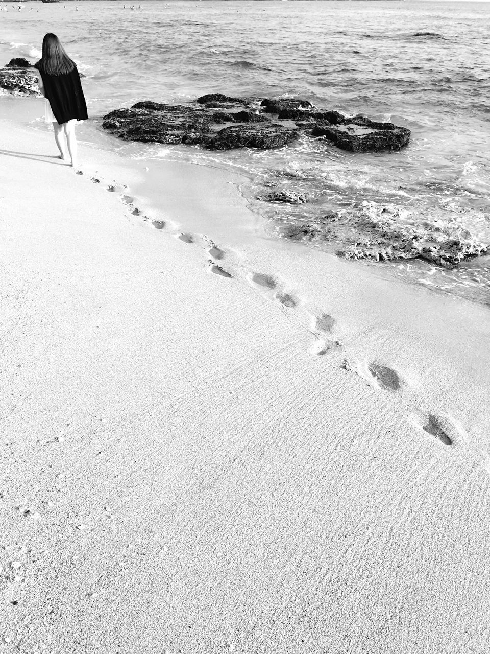 water, beach, sea, shore, sand, bird, lifestyles, leisure activity, wave, standing, rear view, men, full length, walking, animal themes, nature, day, high angle view