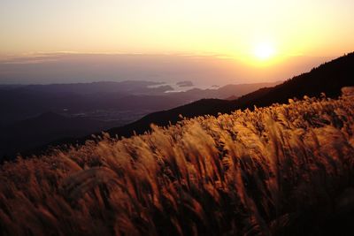 Scenic view of landscape against sky during sunset