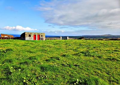 Scenic view of field against sky