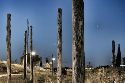 Dead trees on field against sky at dusk