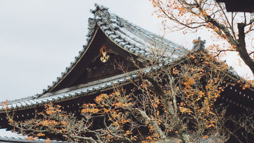 Low angle view of traditional building against sky