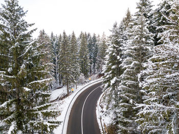 Snow covered road amidst trees in forest