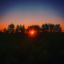 Silhouette trees on field against sky during sunset