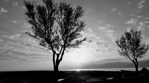 Silhouette tree on landscape against sky