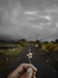 Hand holding white flowering plant against cloudy sky