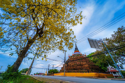 Low angle view of trees and building against sky