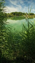 Scenic view of lake against sky