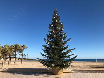 Christmas tree on beach against clear blue sky