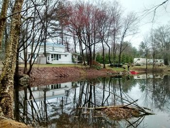 Reflection of bare trees in water