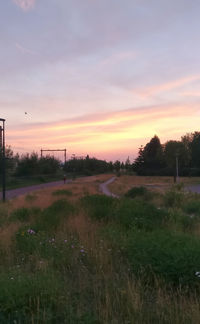 Scenic view of field against sky during sunset