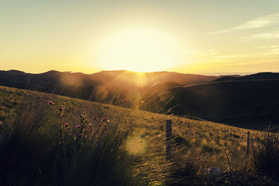 Scenic view of field against sky during sunset