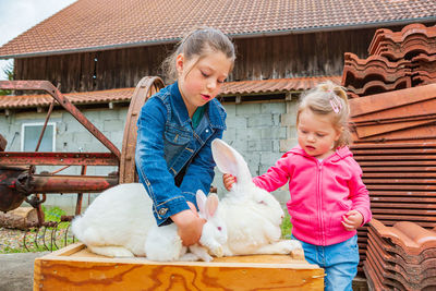 Sisters playing with rabbits while standing outdoors