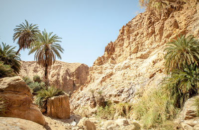 Rock formations in desert against clear sky