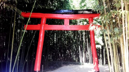 Red cross hanging on seat against trees