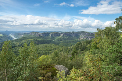 Scenic view of forest against sky