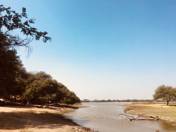 Scenic view of beach against clear sky