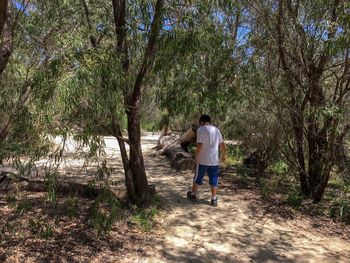 Rear view of boy walking in forest