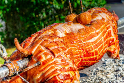 Close-up of fish on barbecue grill