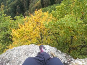 Low section of person on rock against trees