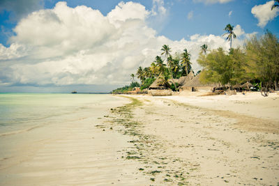 Scenic view of beach against sky