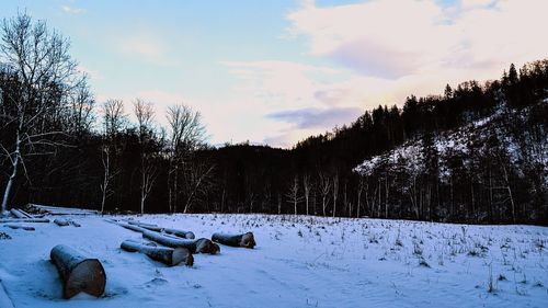 Snow covered landscape against sky