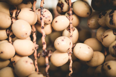 Close-up of fruits in market