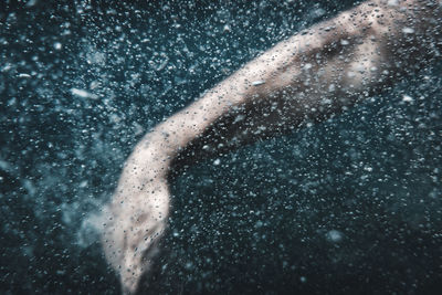 Close-up of person swimming 