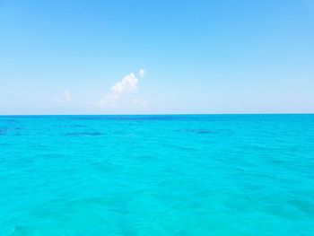 Scenic view of sea against blue sky