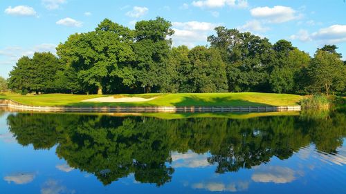 Reflection of trees in calm lake