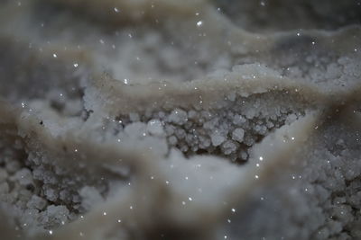 Close-up of frozen water