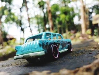 Close-up of toy car on tree