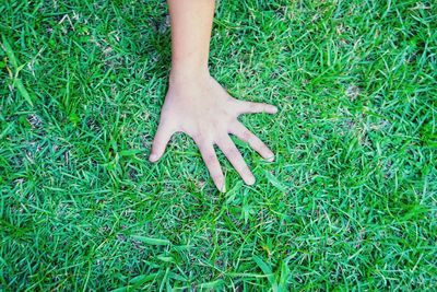 High angle view of person hand on field