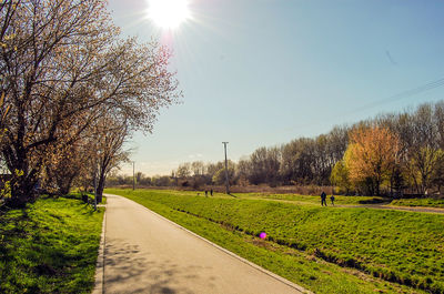 Road amidst bare trees against clear sky