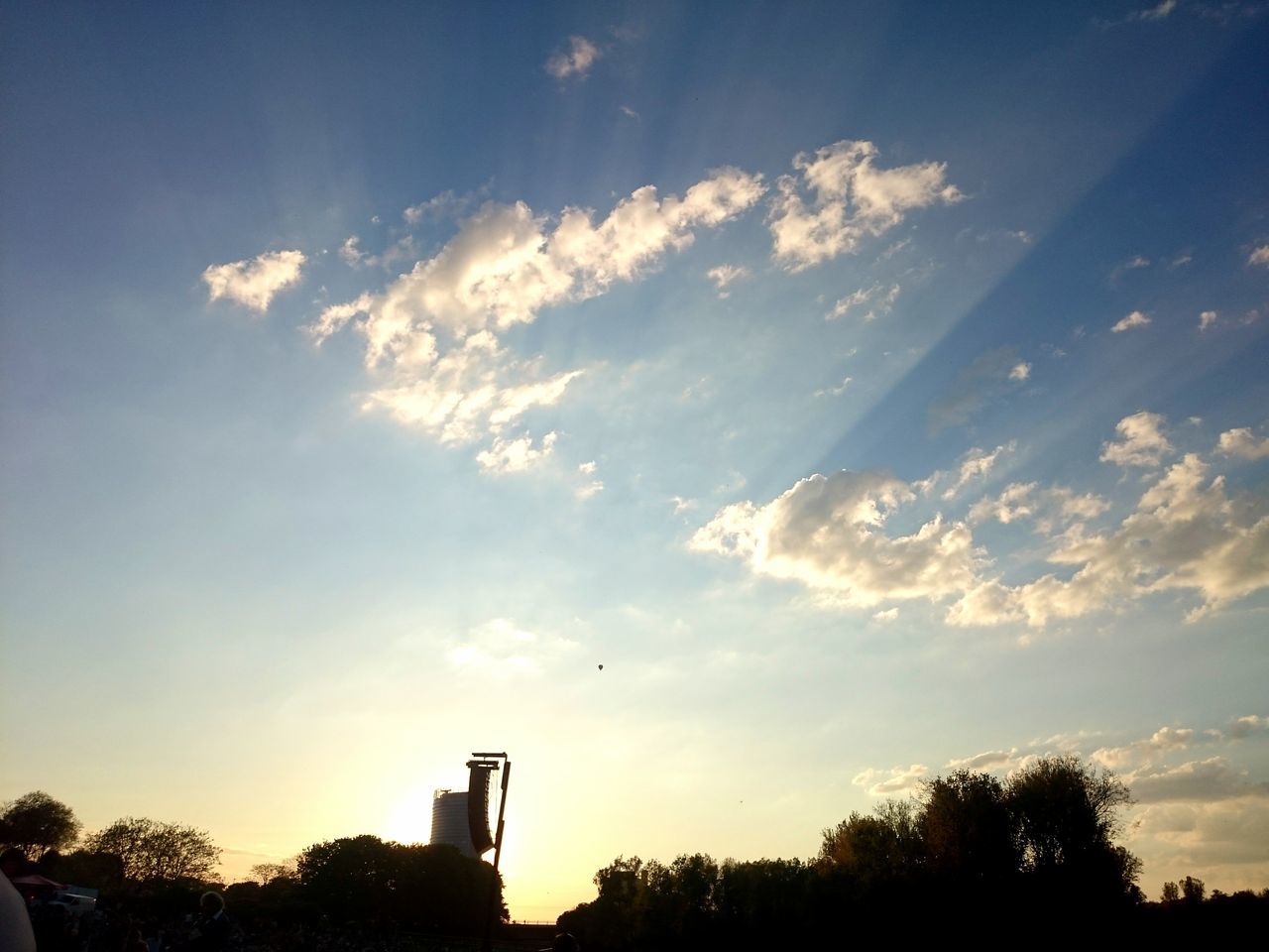 tree, sky, silhouette, low angle view, sunset, cloud - sky, scenics, cloud, tranquil scene, outdoors, growth, nature, beauty in nature, tranquility, treetop, day, tall - high, cloudy, high section, majestic, outline, no people, dramatic sky, cloudscape, tree top