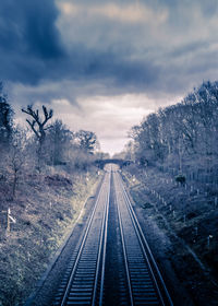 Railroad tracks along plants and trees against sky