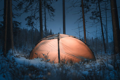 Empty glowing tent in the winter forest