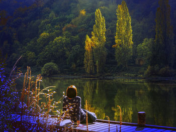 Rear view of woman sitting by lake in forest