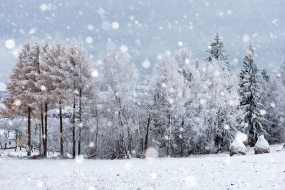 Scenic view of trees against cloudy sky during snowfall