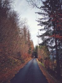 Road amidst trees against sky during autumn