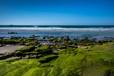 Scenic view of sea against clear blue sky