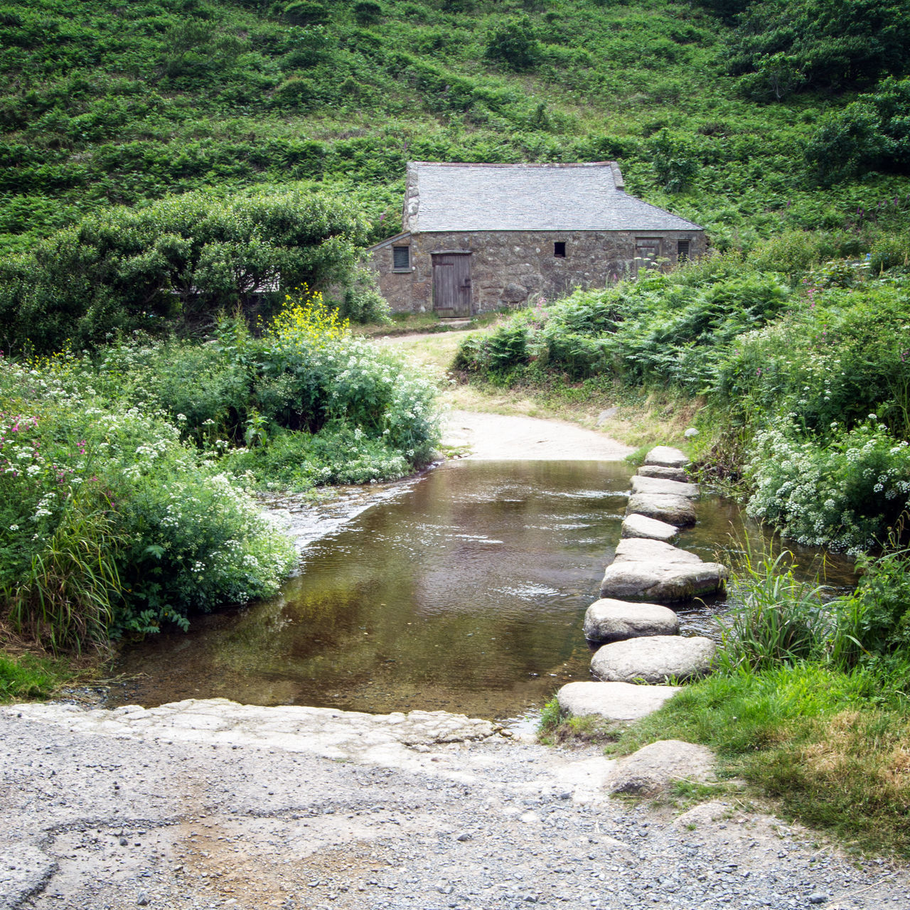 FOOTPATH AMIDST HOUSES AGAINST TREES AND PLANTS