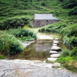 Stream amidst houses and trees by house