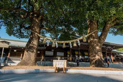 Built structure against trees