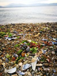 Aerial view of pebbles on beach