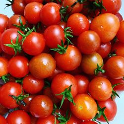 Full frame shot of tomatoes