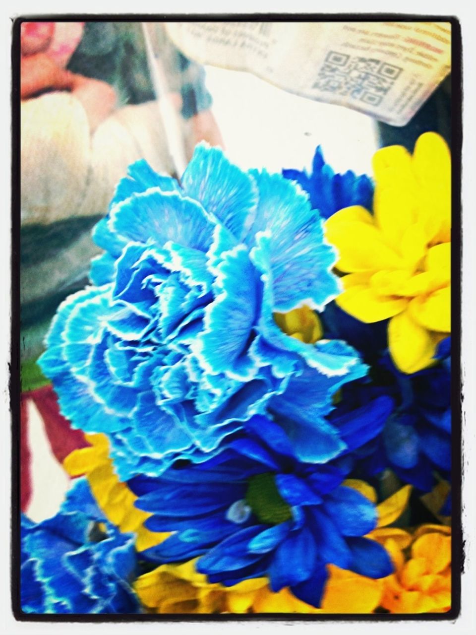 transfer print, auto post production filter, indoors, flower, blue, close-up, yellow, multi colored, focus on foreground, day, petal, high angle view, purple, flower head, part of, person, unrecognizable person