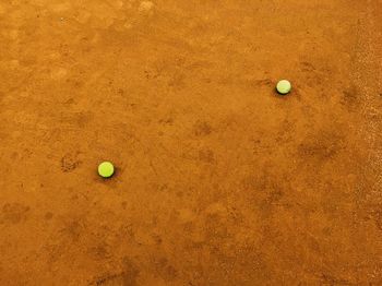 High angle view of yellow ball